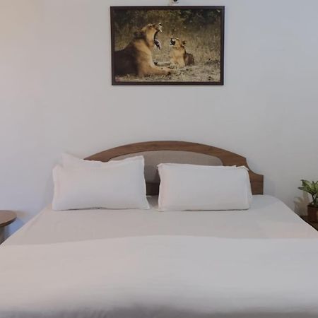 Hotel Ashirwad Junagadh Luaran gambar